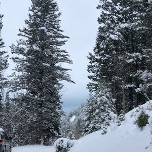 Meet your Posher, Raisa